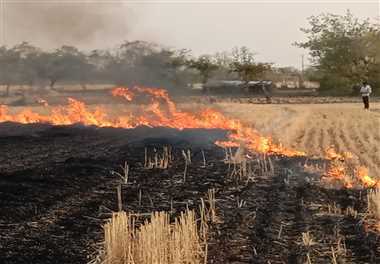  ।। जबलपुर ।। धारा 144 के अंतर्गत जिले की सीमा में लगा नरवाई में आग लगाने पर प्रतिबंधित