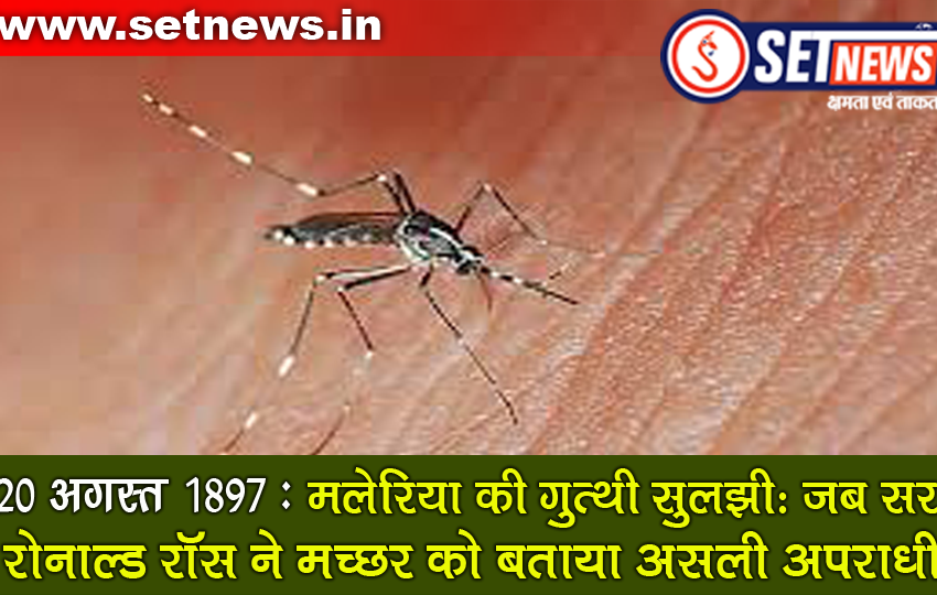  SETNEWS Special # 20 अगस्त 1897: मलेरिया की गुत्थी सुलझी – जब सर रोनाल्ड रॉस ने मच्छर को बताया असली अपराधी