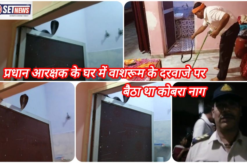  जबलपुर: प्रधान आरक्षक के घर में वाशरूम के दरवाजे पर बैठा था कोबरा नाग