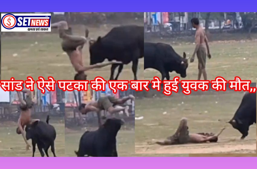  जबलपुर: सांड के साथ छेड़खानी करना शराबी को पड़ा महंगा, गुस्से में जानवर ने सिंग पर उठाकर फेंका,हुई मौत,,