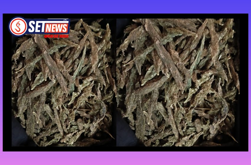 जबलपुर: मादक पदार्थ गांजा के कारोबार में लिप्त आरोपी गिरफ्तार, गांजा और कार जप्त