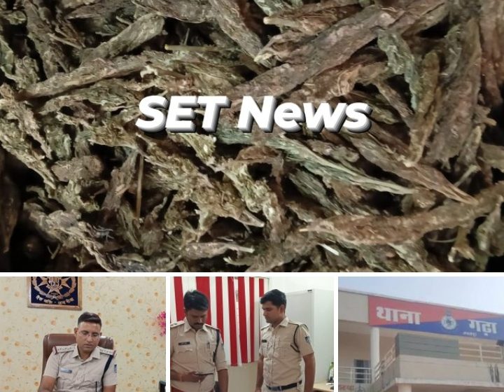  जबलपुर# गांजा तस्करी करने वाले तीन आरोपी गिरफ्तार, क्राइम ब्रांच और गढ़ा पुलिस की बड़ी कार्यवाही,,,